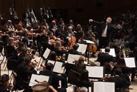 ROYAL PHILHARMONIC ORCHESTRA