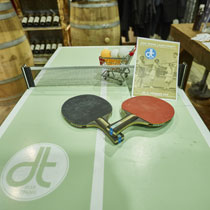 DISH TENNIS