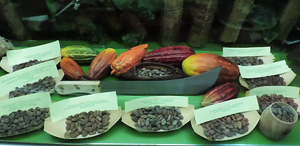 Chocolate Museum Vienna
