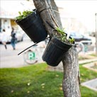 Projekt stadtpark. in der Marinelligasse