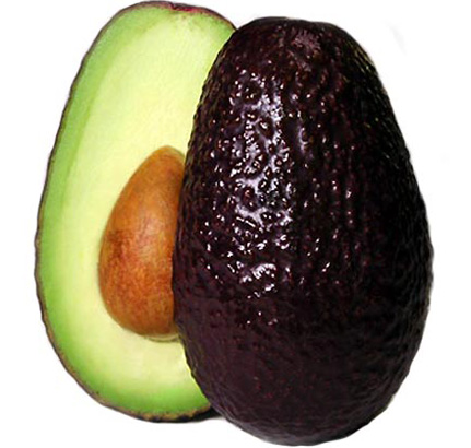 Avocado