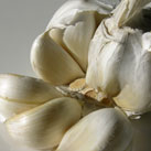 Knoblauch