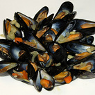 Miesmuscheln im Wei&szlig;weinsud und Knoblauch-Baguette