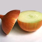 Zwiebel